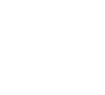 SalvianoCorretora_Logo