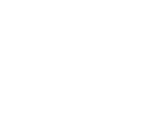jacaré pneus